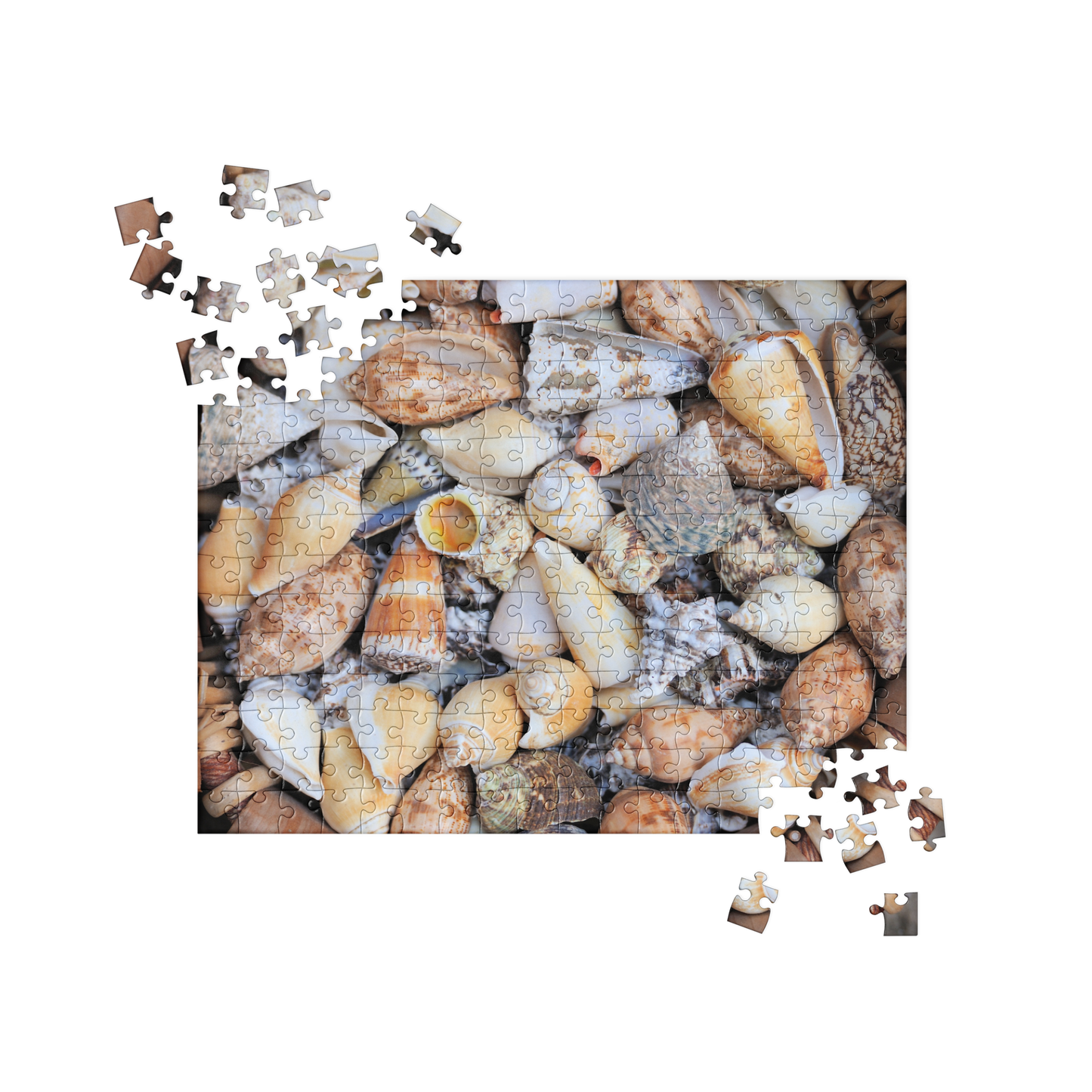 Summer Jigsaw Puzzle: Basket of Seashells