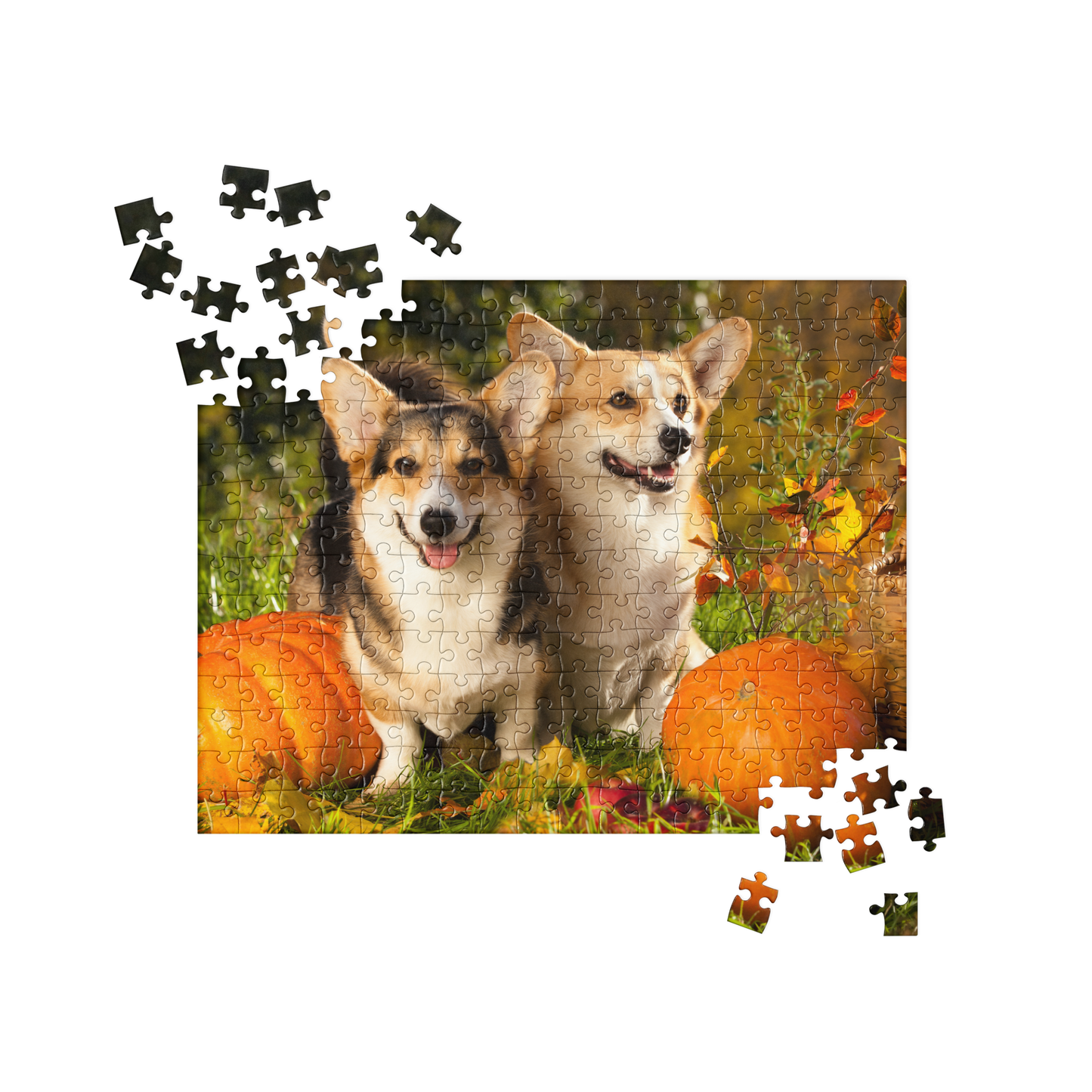 Puppy Jigsaw Puzzle: Corgi Puppies in Autumn