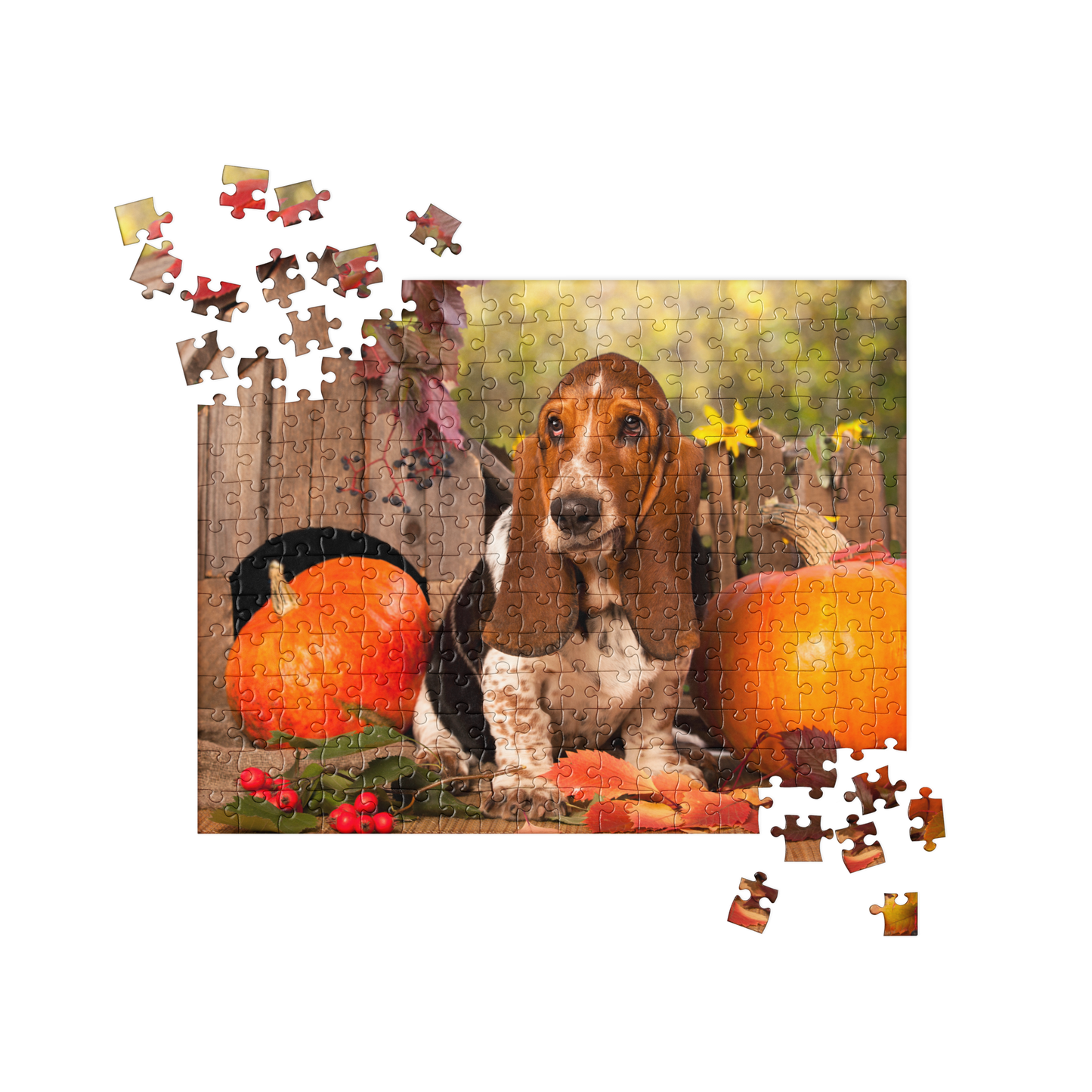 Puppy Jigsaw Puzzle: Basset Hound