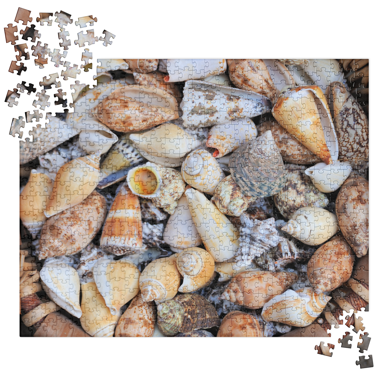 Summer Jigsaw Puzzle: Basket of Seashells