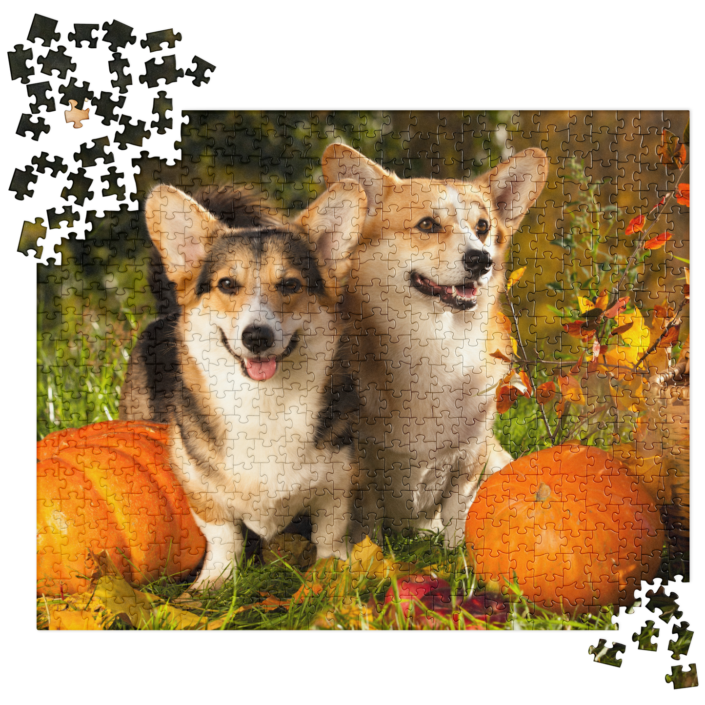 Puppy Jigsaw Puzzle: Corgi Puppies in Autumn