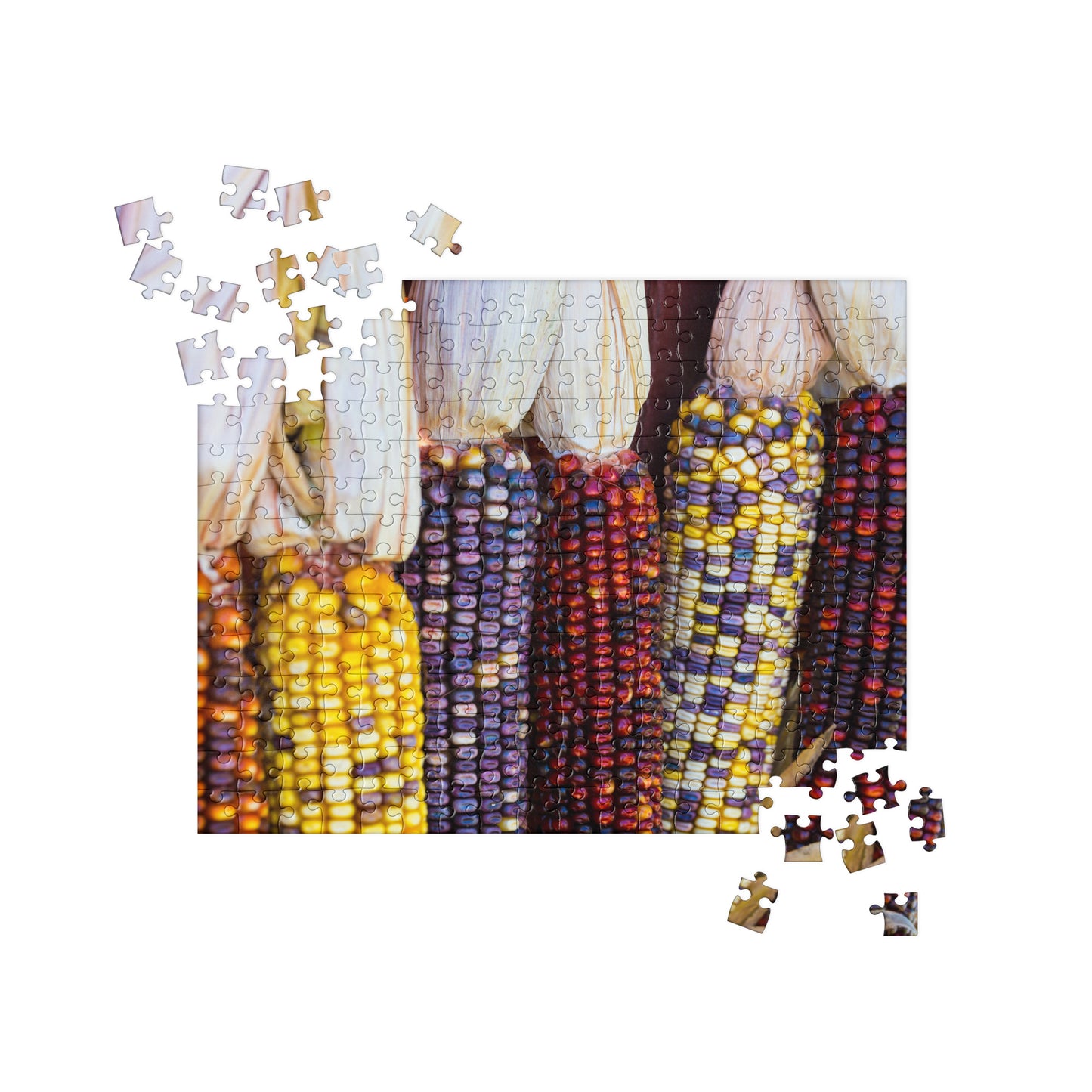 Autumn Jigsaw Puzzle: Colorful Corn
