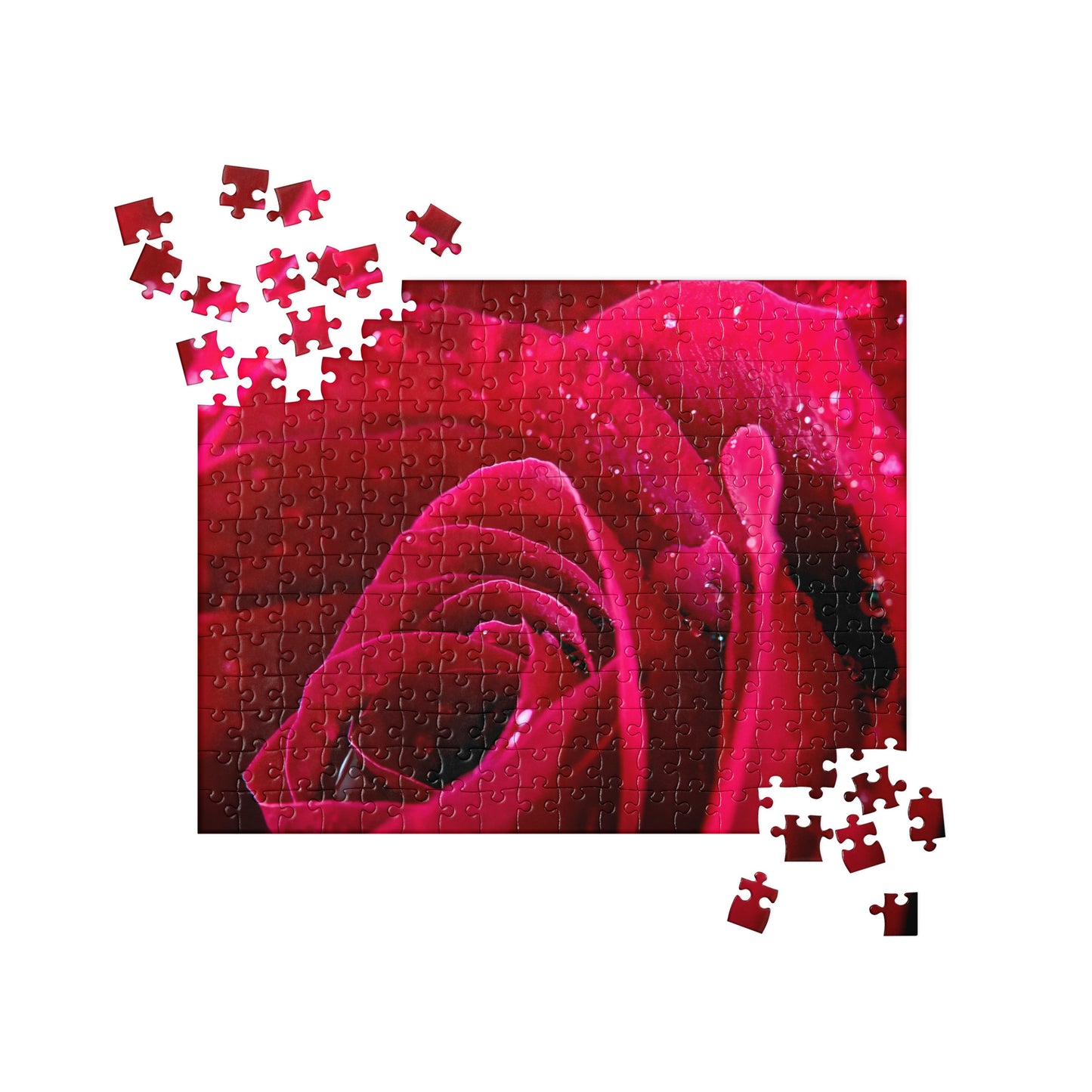 Floral Jigsaw Puzzle: Wet Red Rose