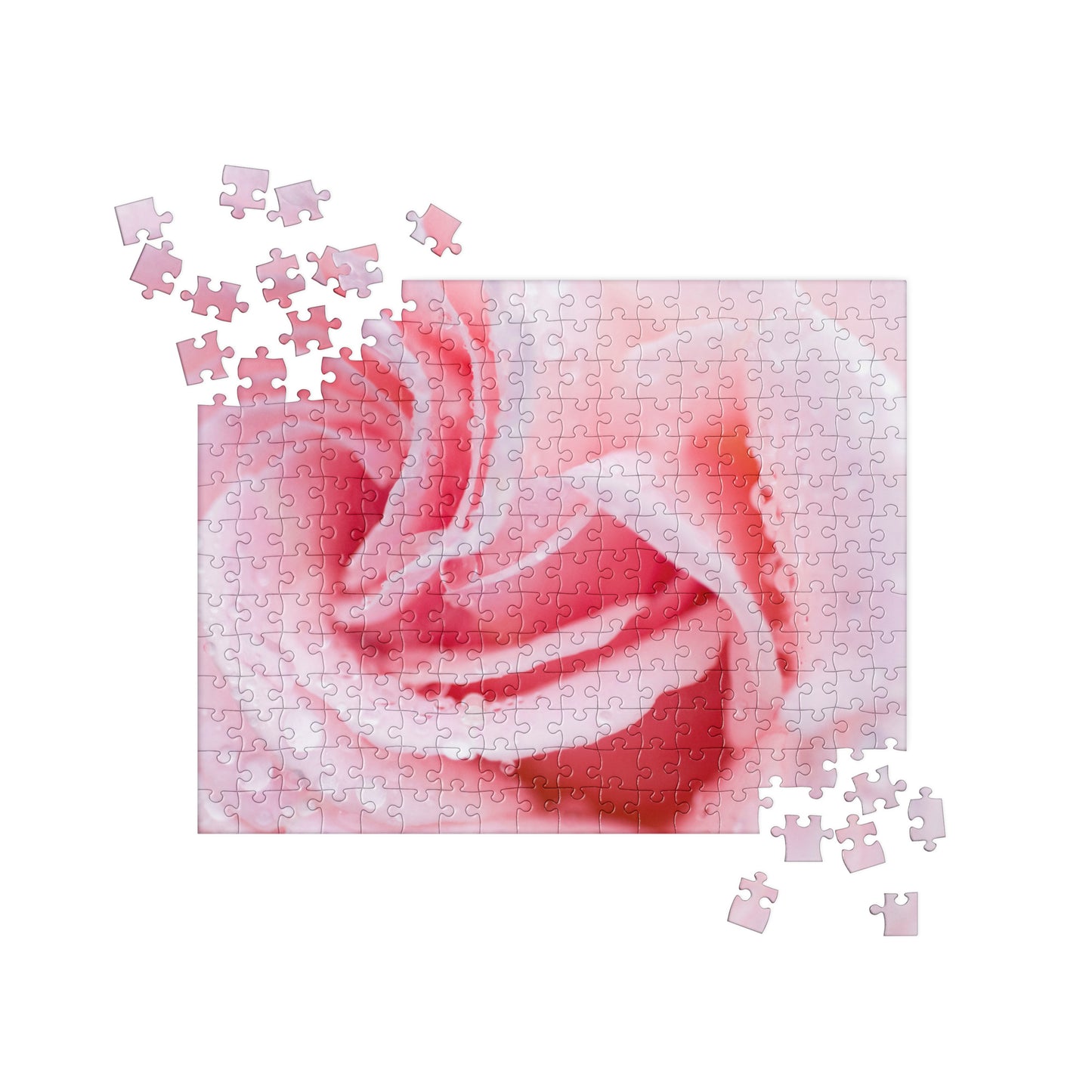 Floral Jigsaw Puzzle: Wet Pink Rose