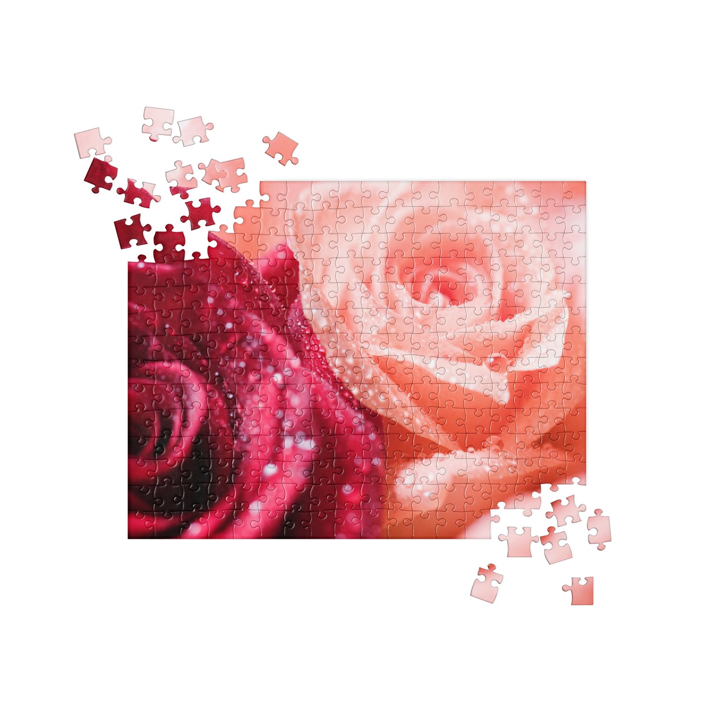 Floral Jigsaw Puzzle: Wet Roses, Red & Peach