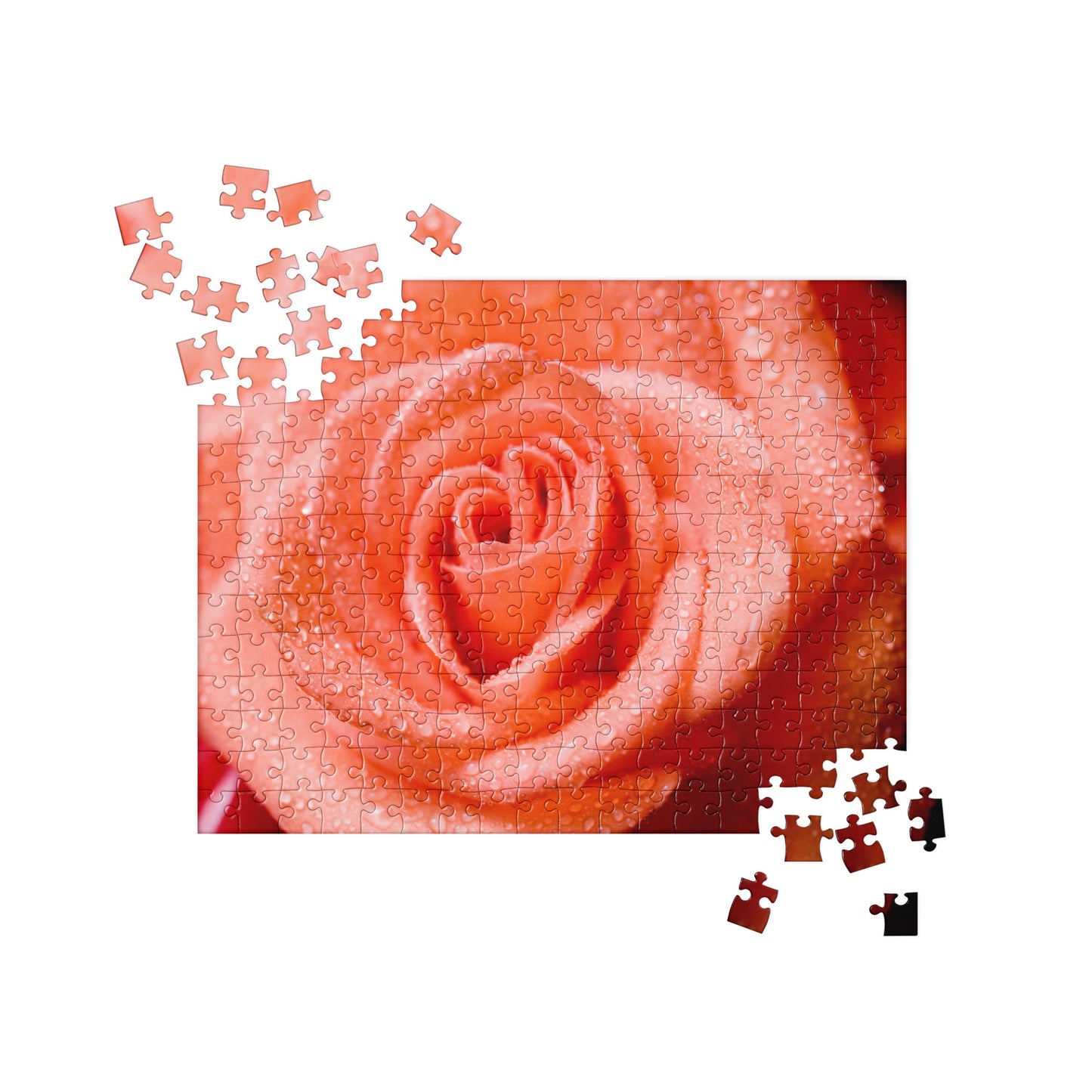 Floral Jigsaw Puzzle: Wet Orange Rose
