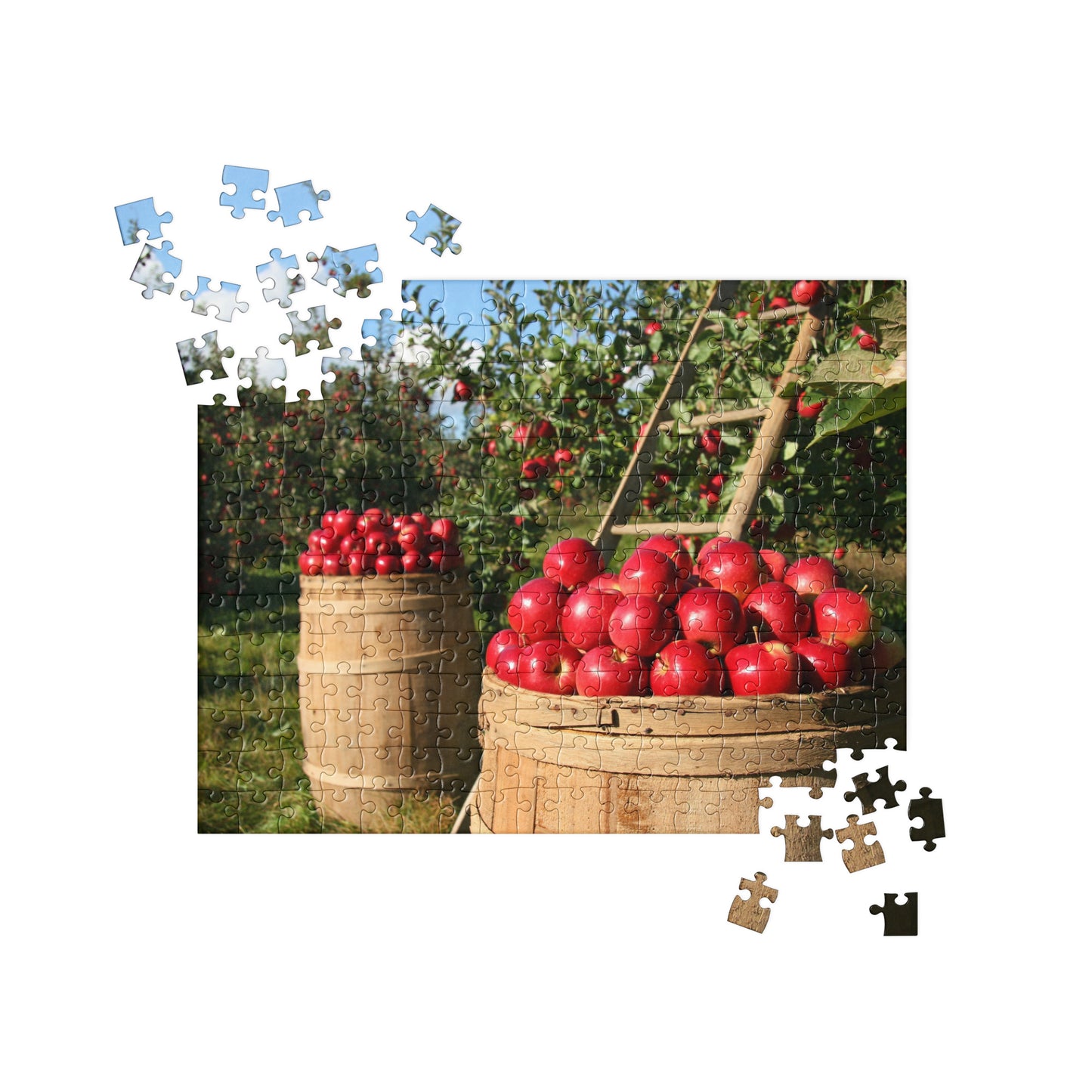 Food Fare Jigsaw puzzle: Apple Orchard