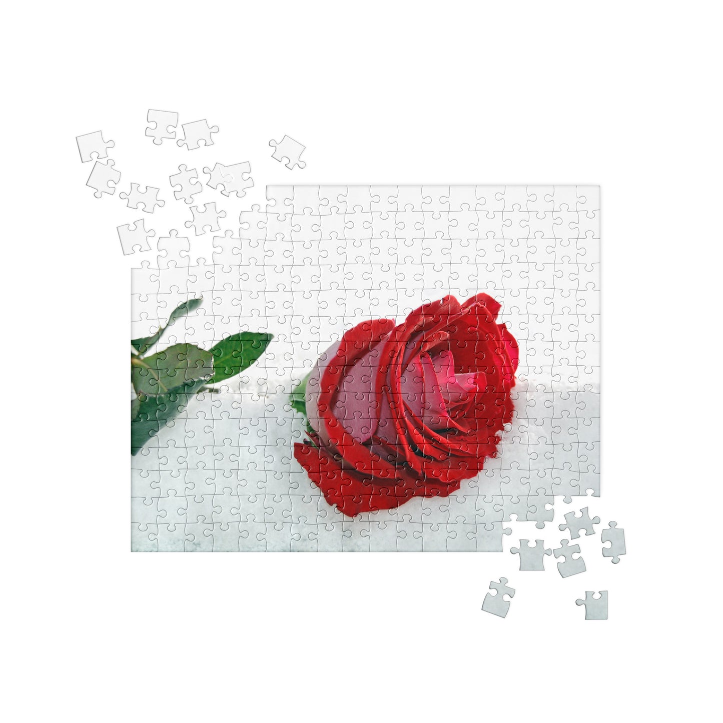 Winter Jigsaw Puzzle: Rose in the Snow