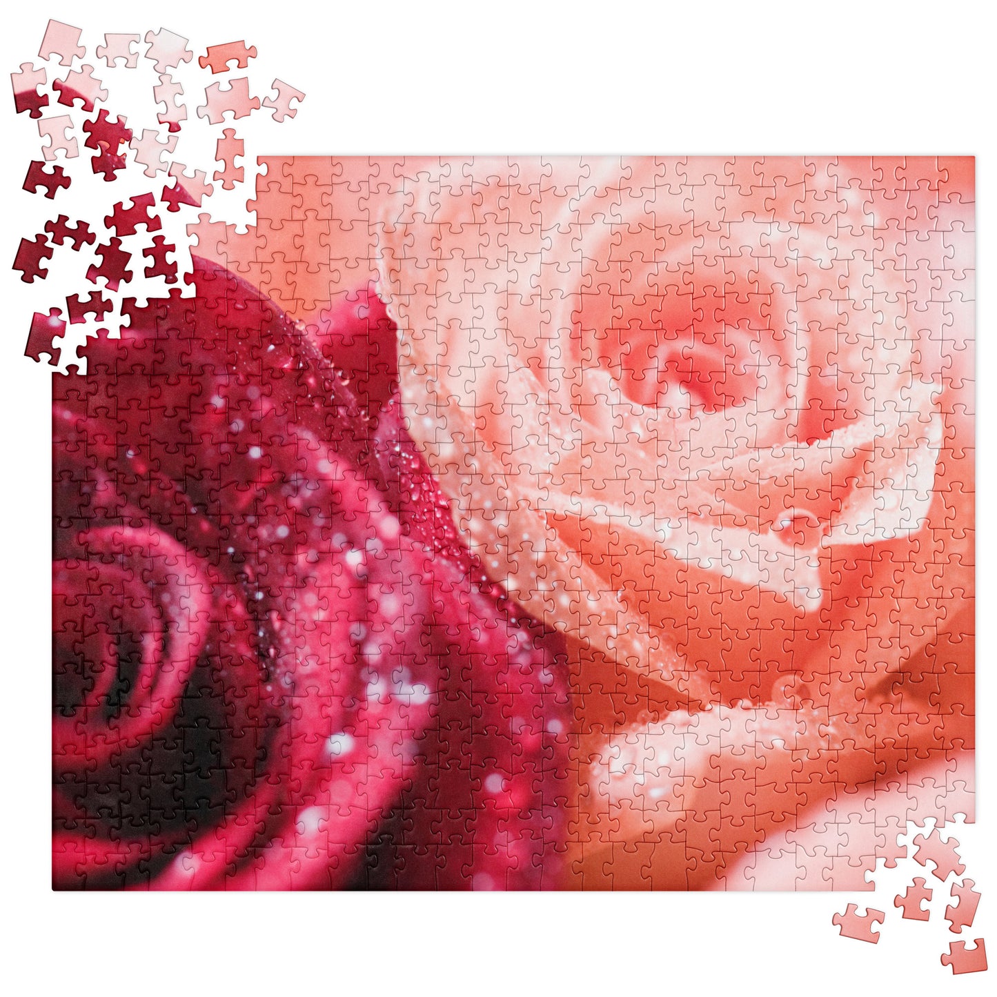 Floral Jigsaw Puzzle: Wet Roses, Red & Peach