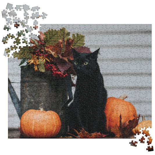 Cat Jigsaw Puzzle: Black Cat with Fall Pumpkins