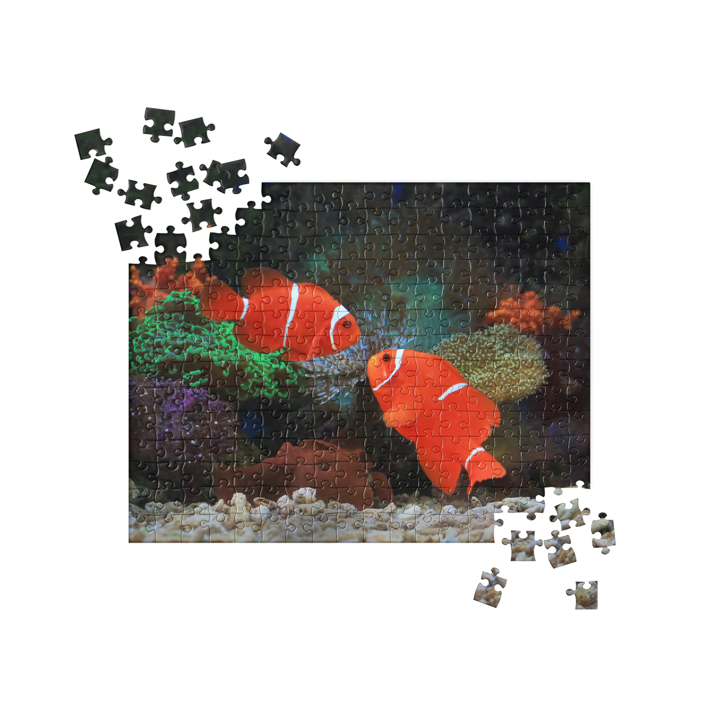 Summer Jigsaw Puzzle: Clownfish