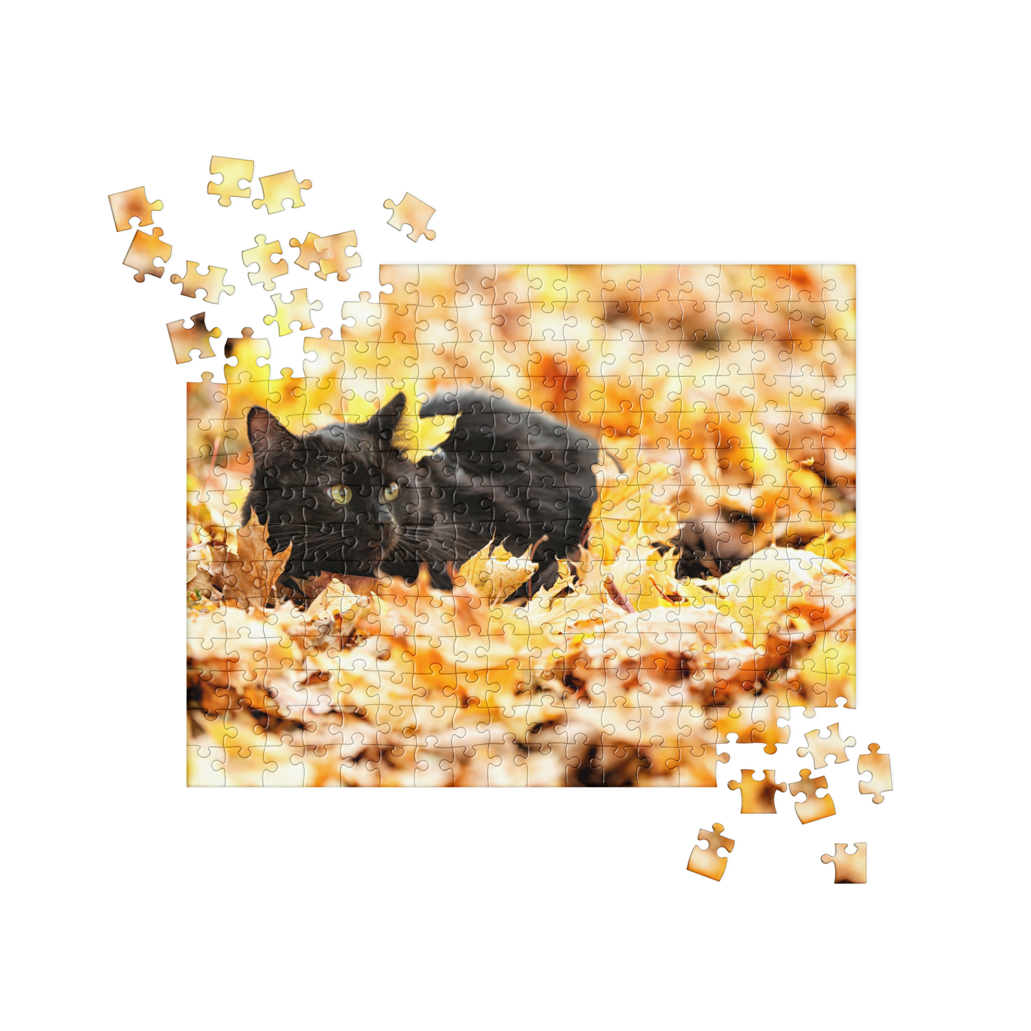 Cat Jigsaw Puzzle: Black Cat in Autumn Leaves