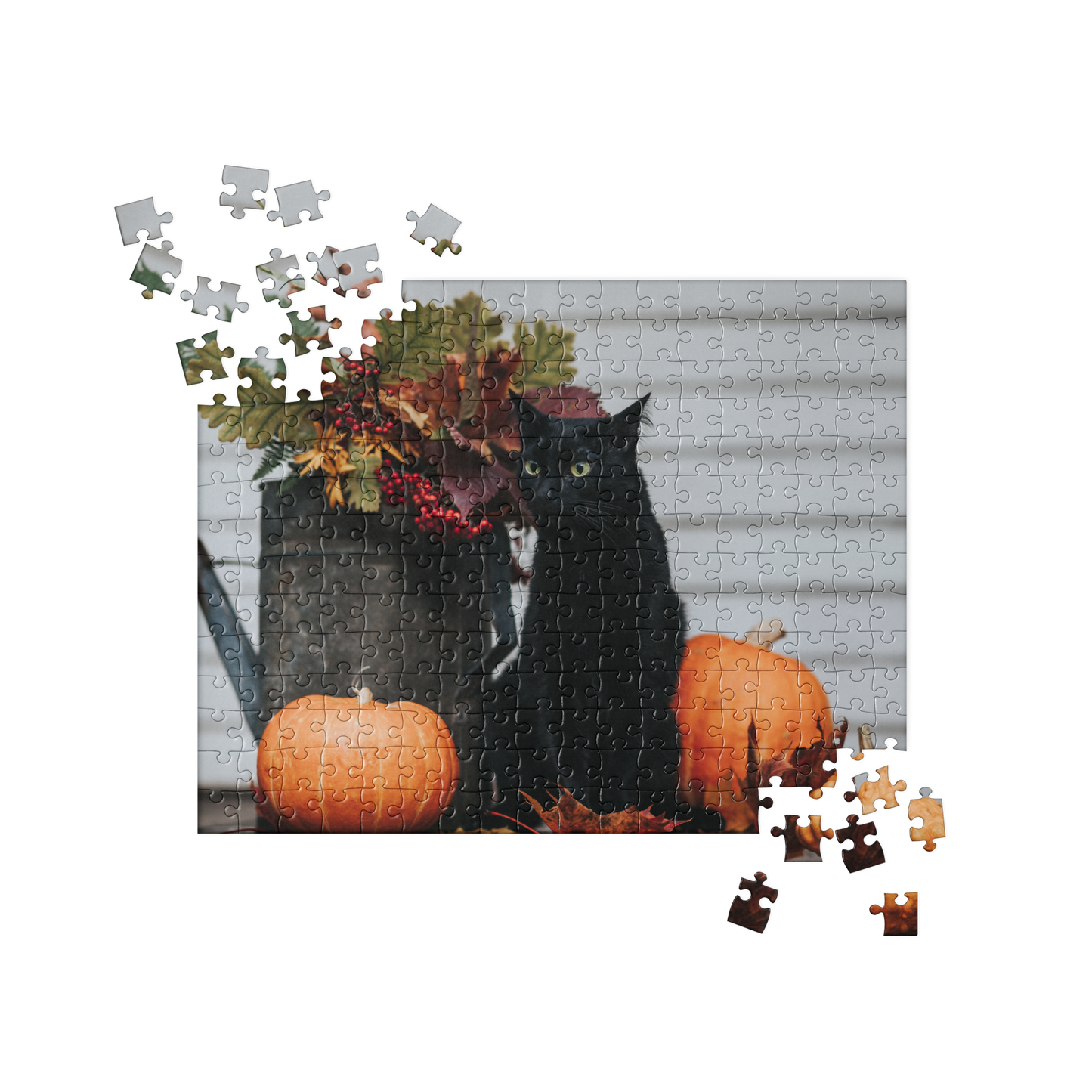 Cat Jigsaw Puzzle: Black Cat with Fall Pumpkins