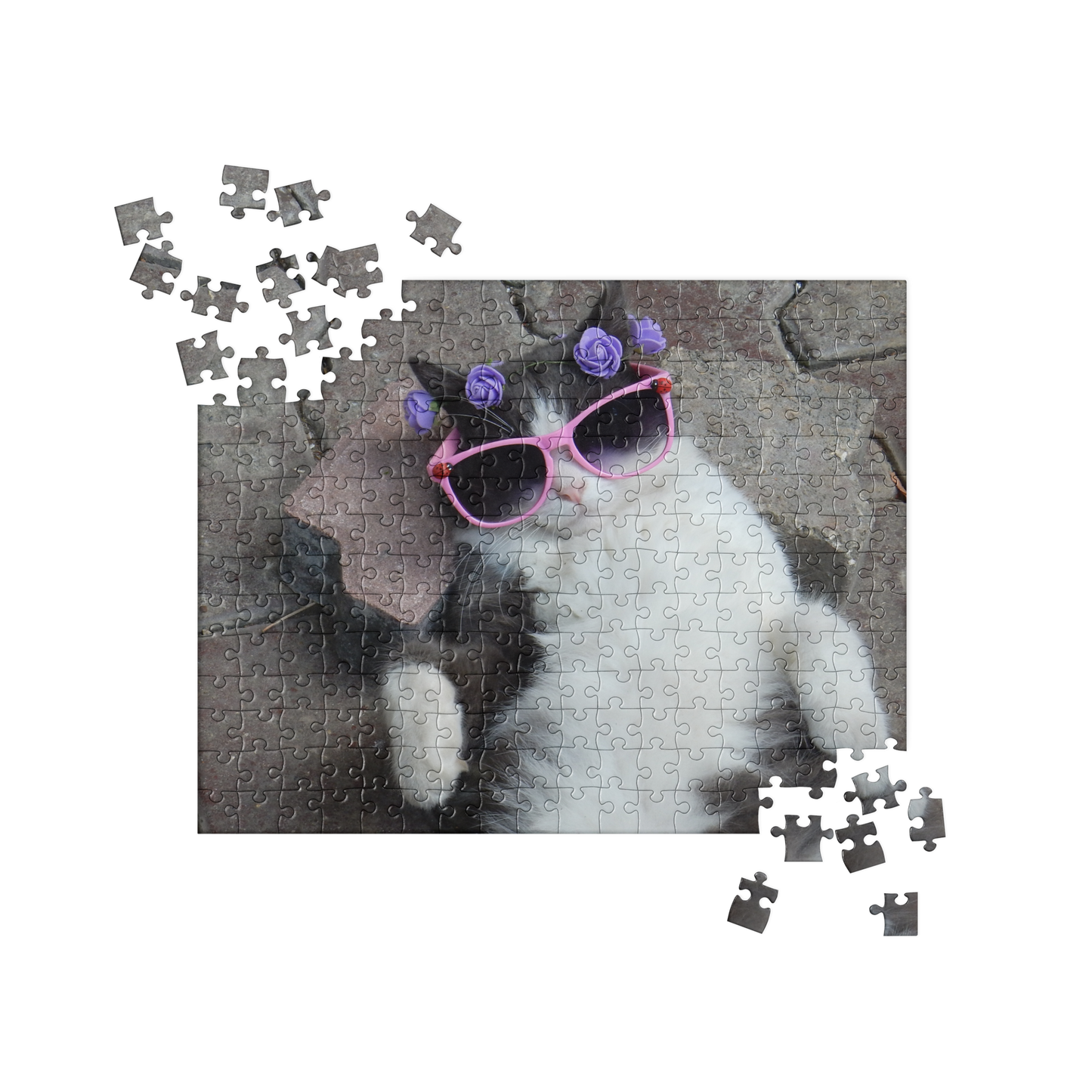 Cat Jigsaw Puzzle: Kitty with Sunglasses