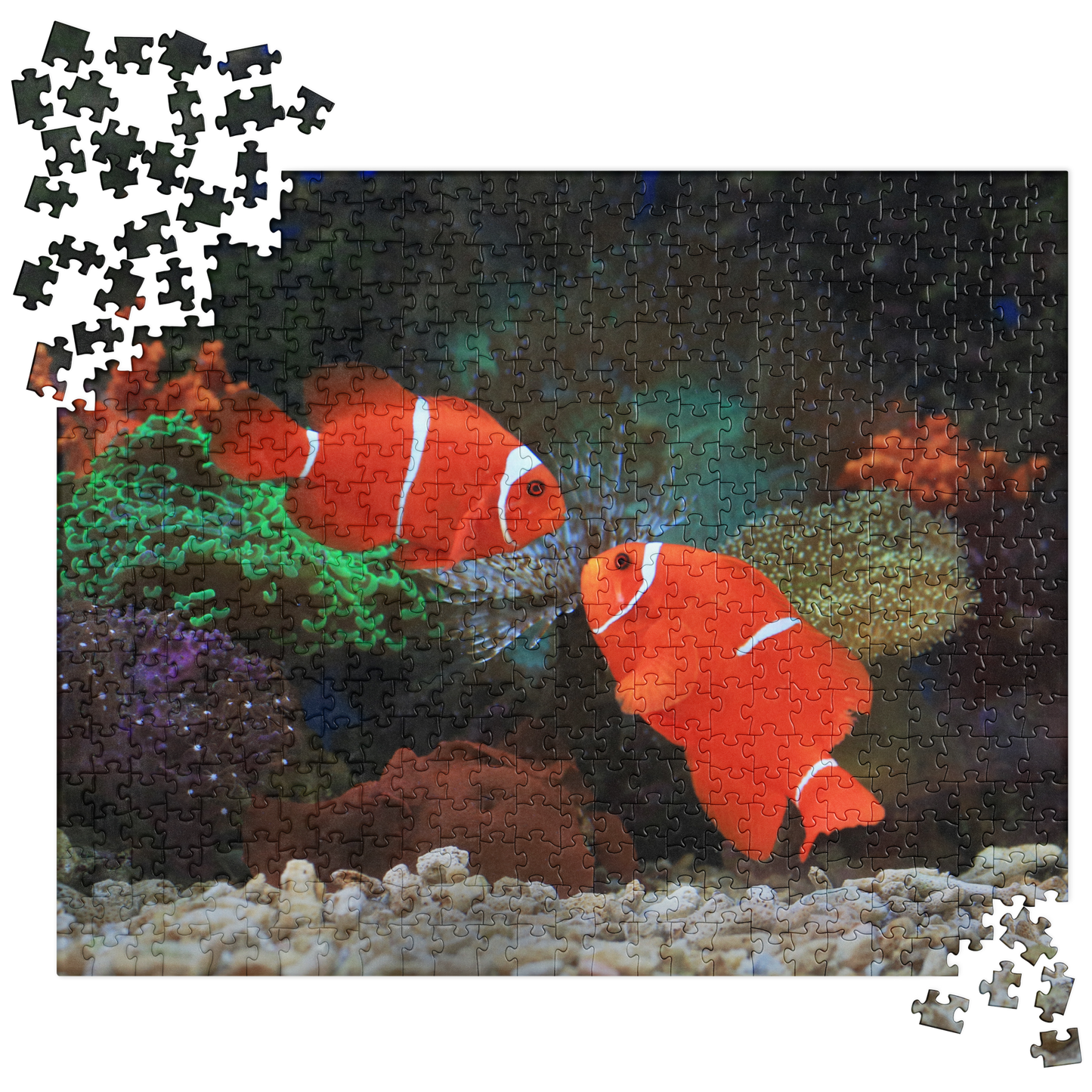 Summer Jigsaw Puzzle: Clownfish