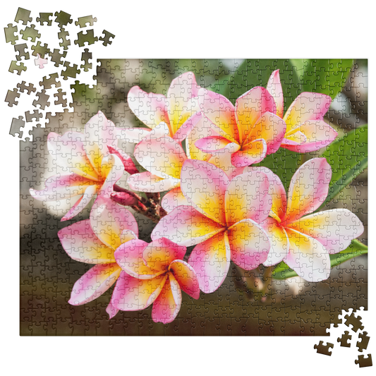 Summer Jigsaw Puzzle: Frangipani Flowers