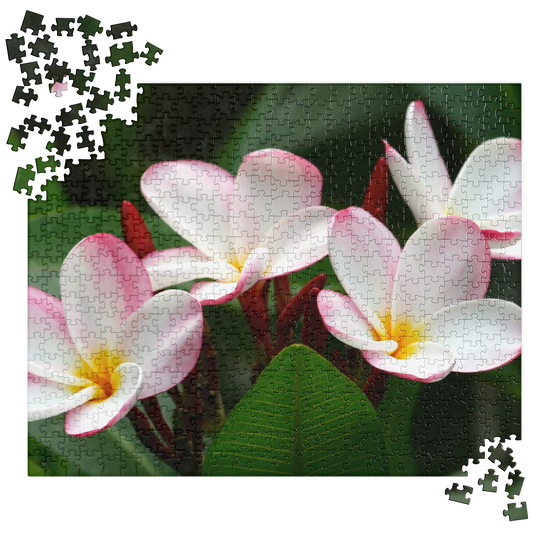 Summer Jigsaw Puzzle: Plumeria Flowers