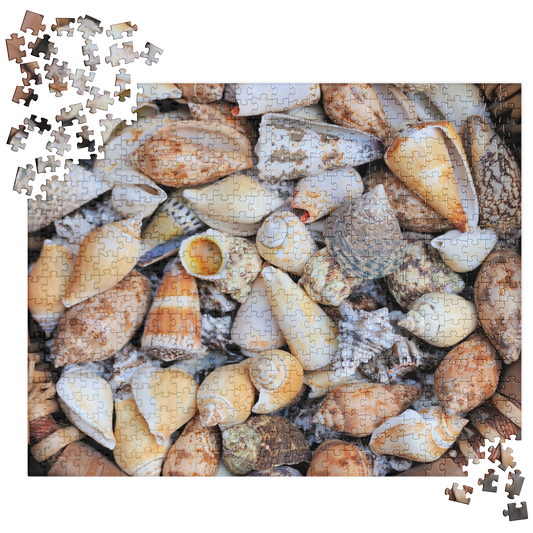 Summer Jigsaw Puzzle: Basket of Seashells