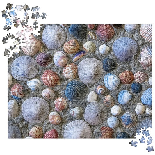 Summer Jigsaw Puzzle: Seashells and Sand Dollars