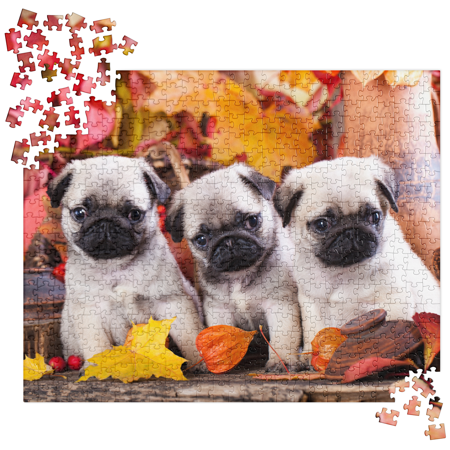 Puppy Jigsaw Puzzle: Pug Puppies in Autumn