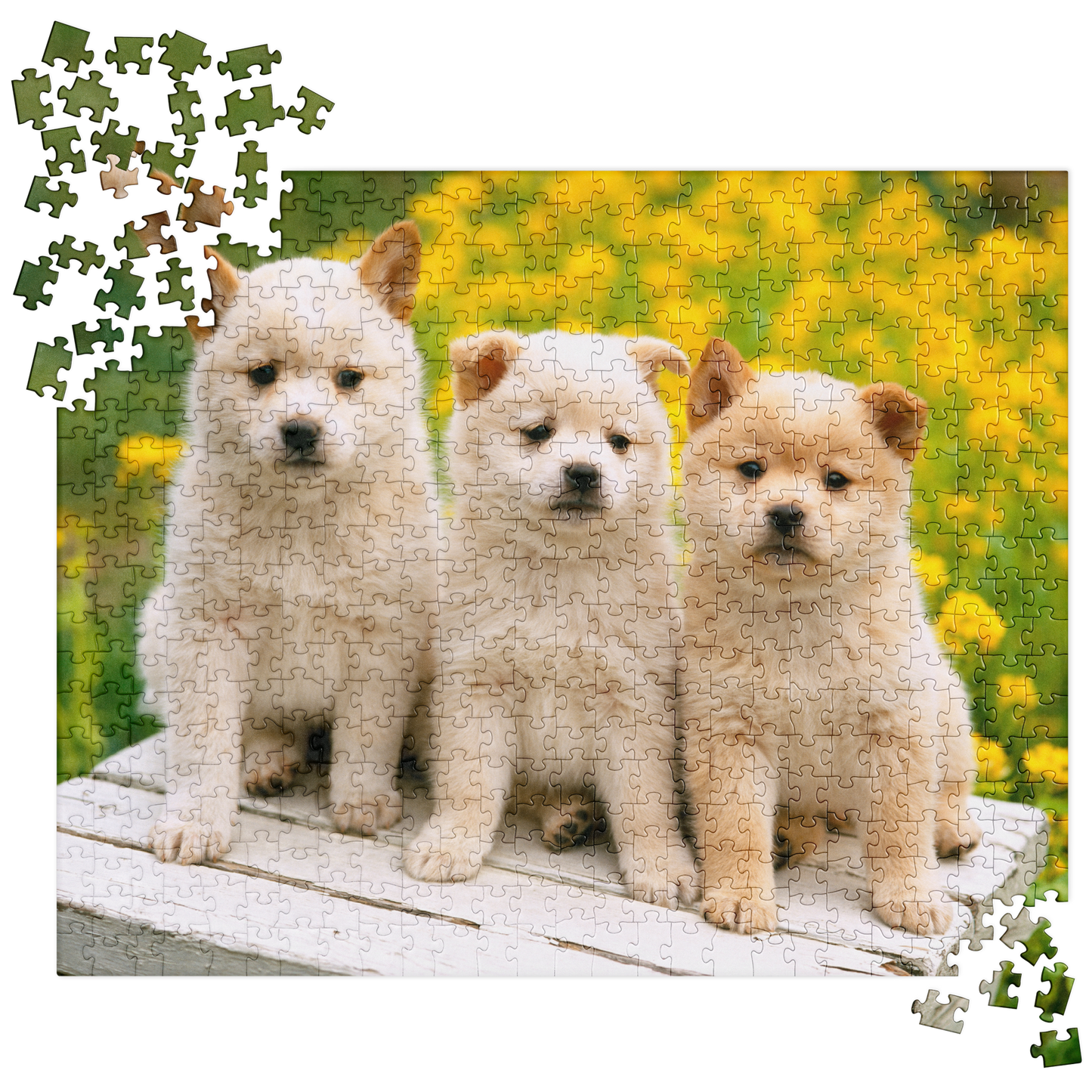 Puppy Jigsaw Puzzle: Puppy Trio