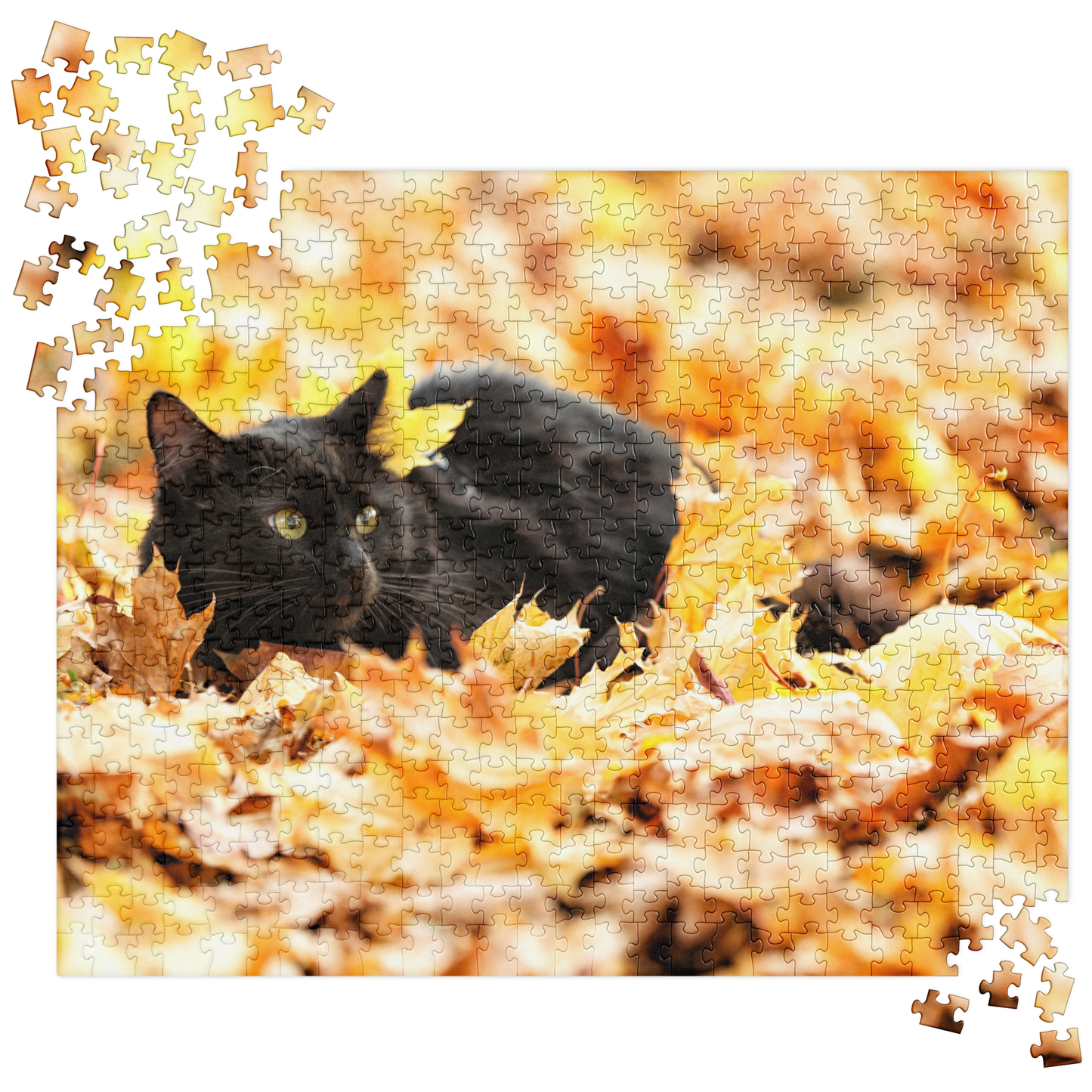 Cat Jigsaw Puzzle: Black Cat in Autumn Leaves