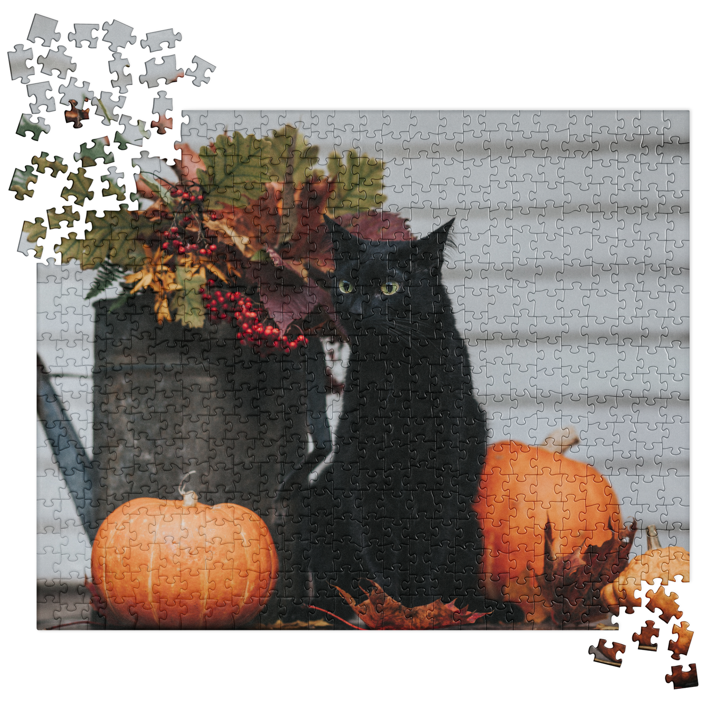 Cat Jigsaw Puzzle: Black Cat with Fall Pumpkins