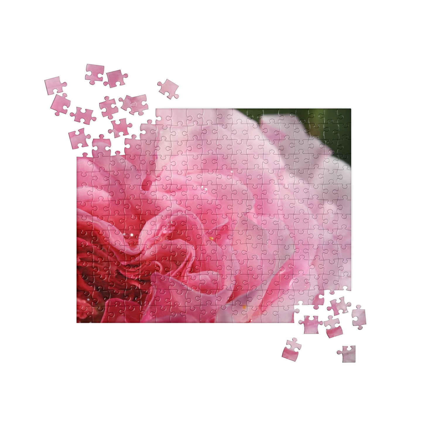 Floral Jigsaw Puzzle: American Garden Rose