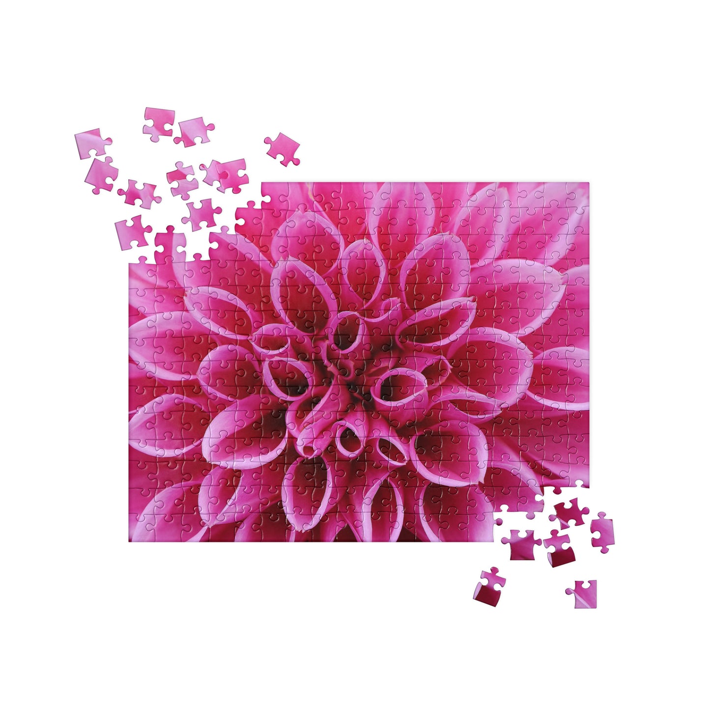 Floral Jigsaw Puzzle: Fuchsia Dahlia