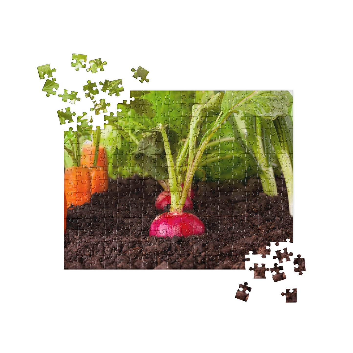 Food Fare Jigsaw puzzle: Vegetable Garden with Beets