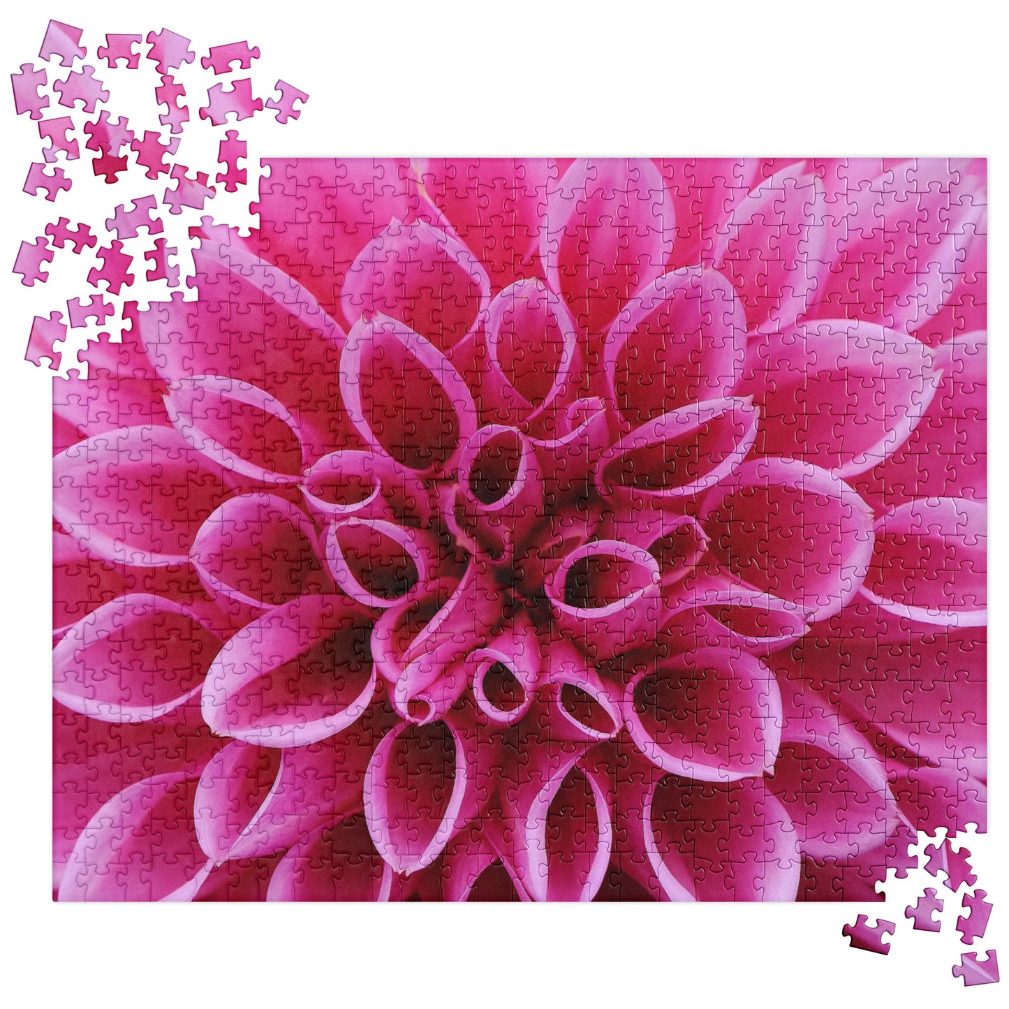 Floral Jigsaw Puzzle: Fuchsia Dahlia