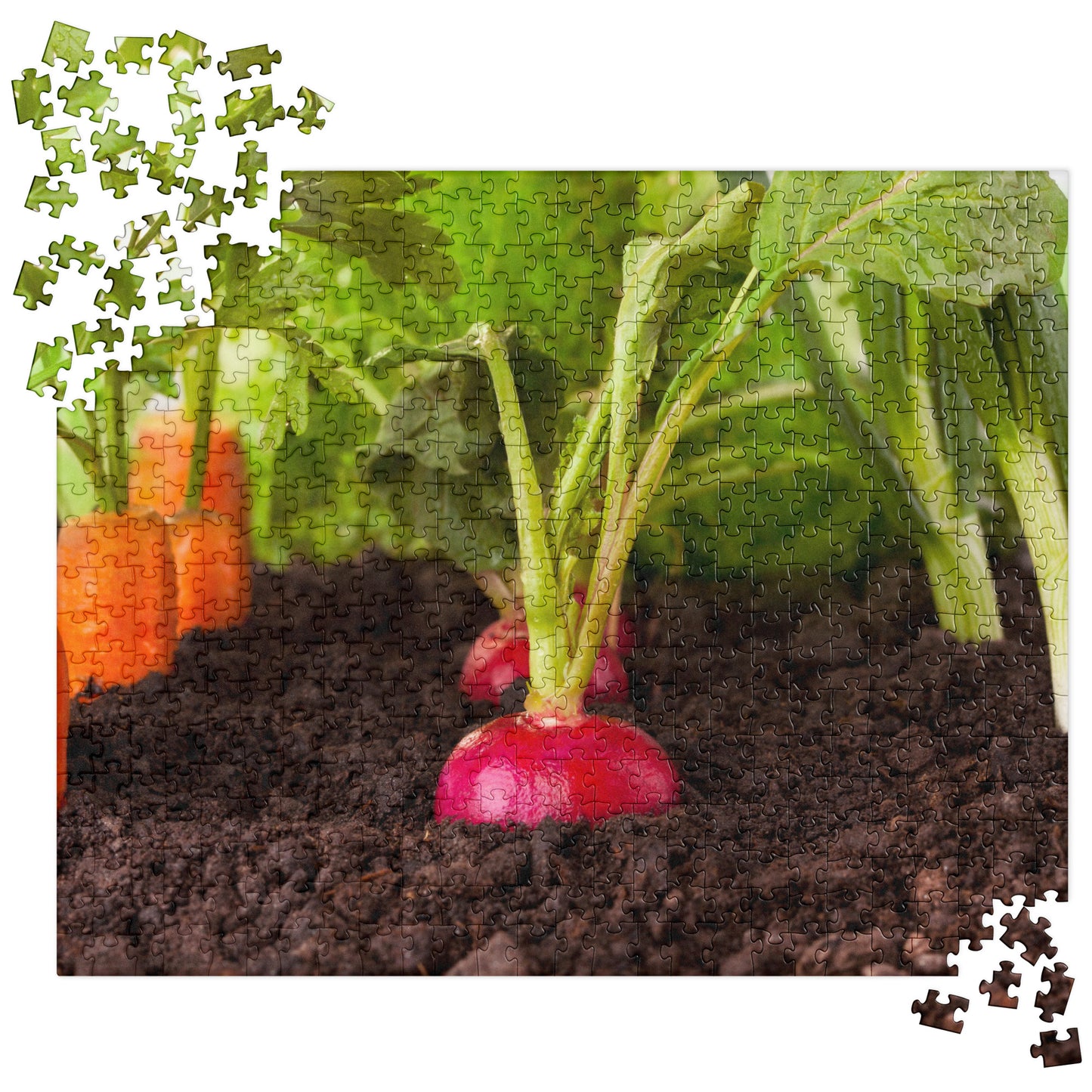 Food Fare Jigsaw puzzle: Vegetable Garden with Beets