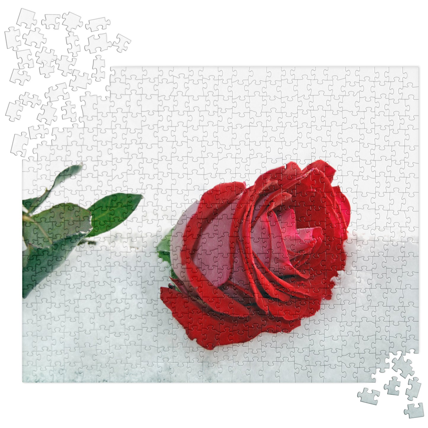 Winter Jigsaw Puzzle: Rose in the Snow